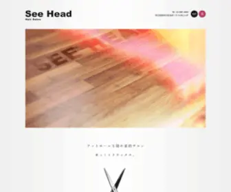 See-Head.com(安全加密检测) Screenshot