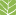 Seedlivelihood.org Favicon