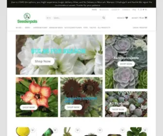 Seedsnpots.com(Seedsnpots Top quality bulb seeds adeniums cactus succulent) Screenshot