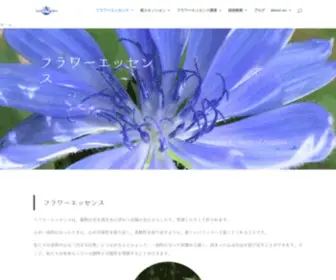 Seedsofangelica.net(フラワーエッセンス) Screenshot