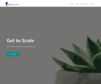 Seedtoscale.us(Early stage B2B advisory services) Screenshot