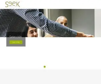 Seekconsultores.cl(Seek Consultores) Screenshot