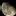 Seekingfocus.com Favicon