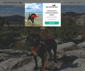 Seesawyerrun.com(See SAWYER Run) Screenshot