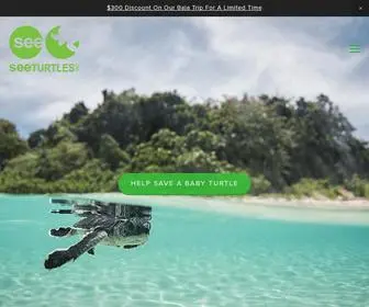 Seeturtles.org(SEE Turtles) Screenshot