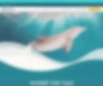 Seewinter.com(Clearwater Marine Aquarium) Screenshot