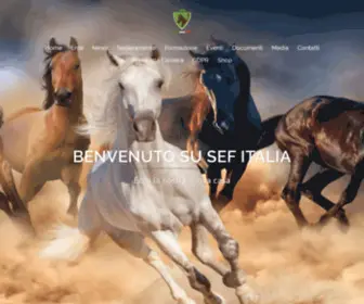 Sef-Italia.it(SEF Italia) Screenshot