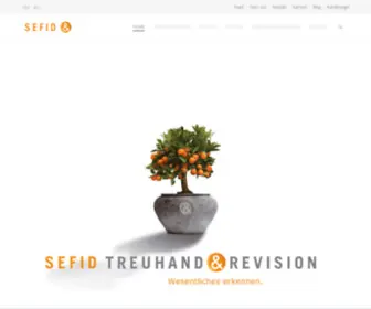 Sefid.ch(SEFID TREUHAND & REVISION) Screenshot