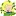 Seguingold.com Favicon
