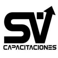 Seguridadvertical.cl Favicon