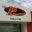 Segurodeincendio.com.br Favicon