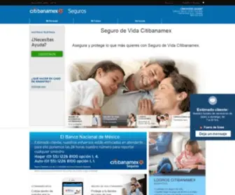 Segurosbanamex.com.mx(Seguros Banamex) Screenshot