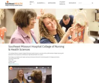 Sehcollege.edu(SEH College of Nursing) Screenshot