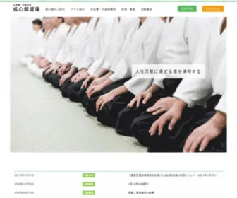 Seishinkan.org(心身統一合氣道会) Screenshot