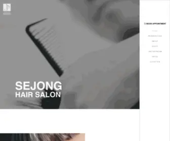 Sejonghairsalon.com(Sejong Hair Salon) Screenshot