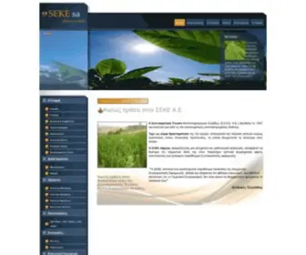 Sekesa.com(SEKE SA) Screenshot
