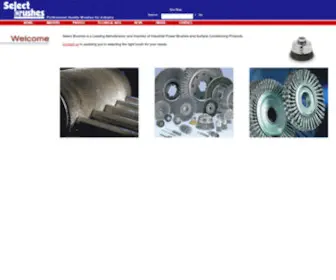 Selectbrush.com(Select Brushes) Screenshot