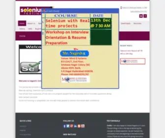 Selenium4Testing.com(Default Parallels Plesk Panel Page) Screenshot