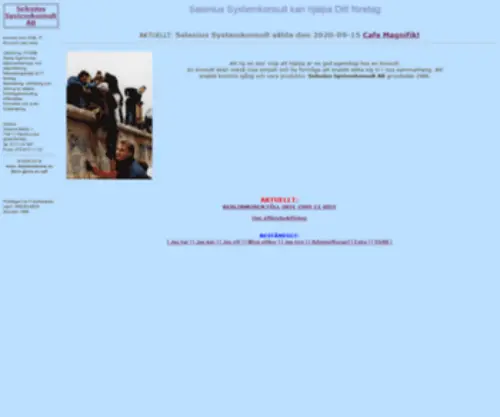 Selenius.se(Selenius Systemkonsult AB) Screenshot