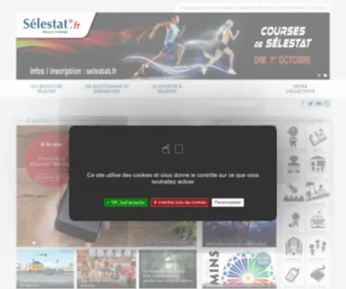 Selestat.fr(Sélestat) Screenshot