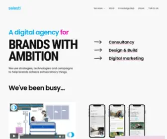 Selesti.com(Digital Marketing & Web Design) Screenshot