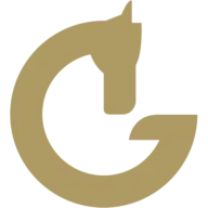 Selleriagianetti.com Logo