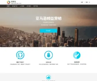 Sellerisland.com(亚马逊精益营销) Screenshot