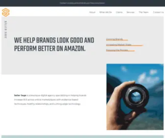 Sellersage.co(Sellersage) Screenshot