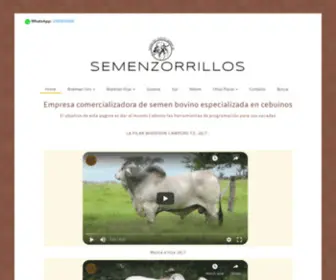 Semenzorrillos.com(SEMENZORRILLOS) Screenshot