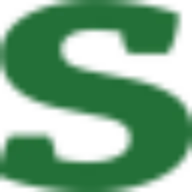 Seminolewire.com Favicon