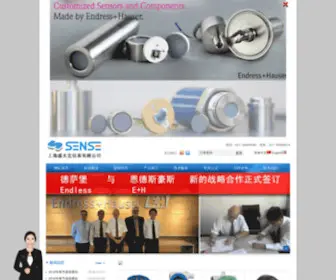 Sen-Tec.com(压力传感器) Screenshot
