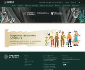 Senasica.gob.mx(Servicio Nacional de Sanidad) Screenshot
