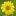 Sendflowerstojapan.com Favicon