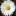 Sendflowerstopune.in Favicon