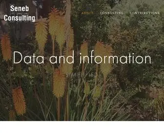 Seneb.com(Seneb Consulting) Screenshot