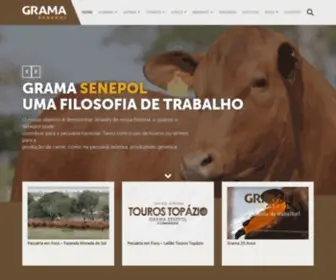 Senepoldagrama.com.br(Senepoldagrama) Screenshot