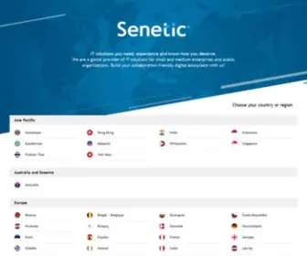 Senetic.net( international IT solutions reseller) Screenshot