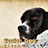 Seniordogplaybook.com Favicon