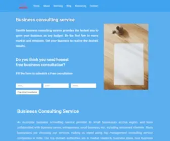 Senitih.com(Business Consulting service) Screenshot