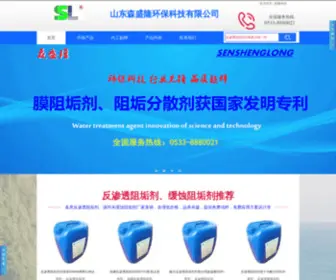 Senshenglong.com(山东森盛隆环保科技有限公司) Screenshot