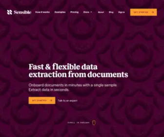 Sensible.so(Document Processing for Developers) Screenshot