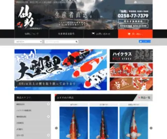 Sensukekoi.com(錦鯉通販販売) Screenshot