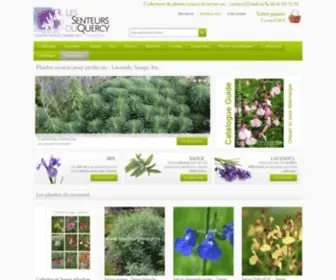 Senteursduquercy.com(Lavandes) Screenshot