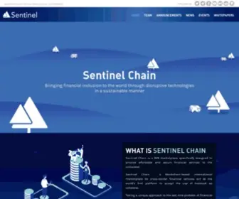 Sentinel-Chain.org(Redefining Financial Inclusion) Screenshot