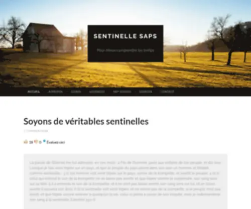 Sentinellesaps.com(Pour mieux comprendre les temps) Screenshot