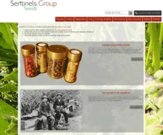 Sentinelsgroup.co.nz(Sentinels Group) Screenshot