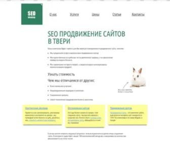 Seo-Develop.ru(продвижение) Screenshot