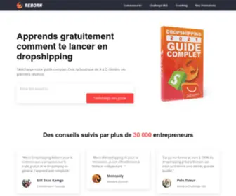 Seo-Reborn.com( Agence SEO & E) Screenshot