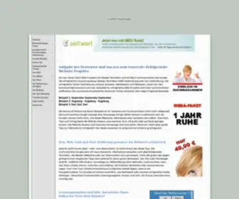 Seo-Sem-Texter.de(Diese Website berichtet über Suchmaschinenoptimierung) Screenshot
