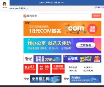 Seo9999.cn(首页面) Screenshot